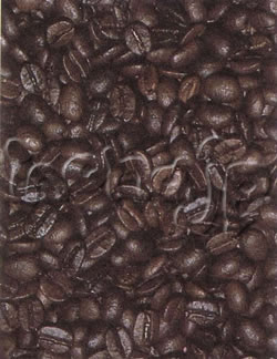 coffee20071025-12-4-1