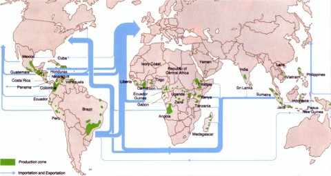 The map shows all the coffee-producing countries and the importation-exportation routes